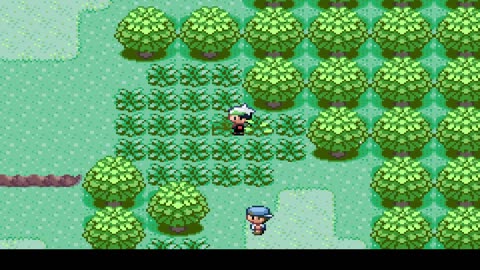 IMAGINARY STREAM because im bad at this--pokemon nuzlock--emerald randomizer