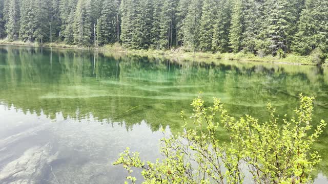 Emerald Green Clear Lake & Volcanic Shoreline Hiking – Central Oregon – 4K