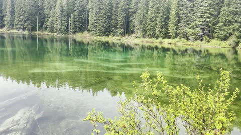 Emerald Green Clear Lake & Volcanic Shoreline Hiking – Central Oregon – 4K