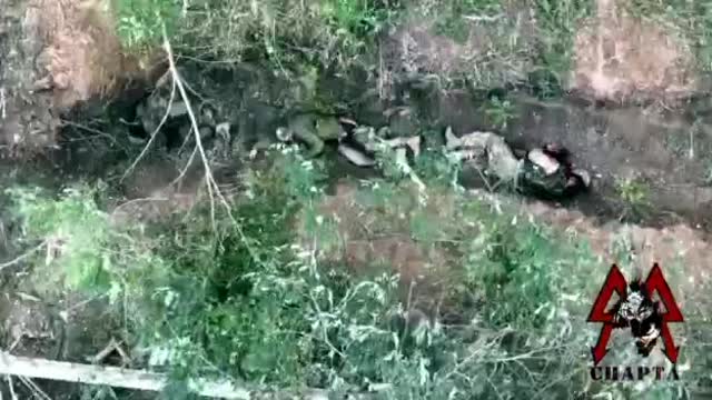 Elisa Q Anon WWG1WGA