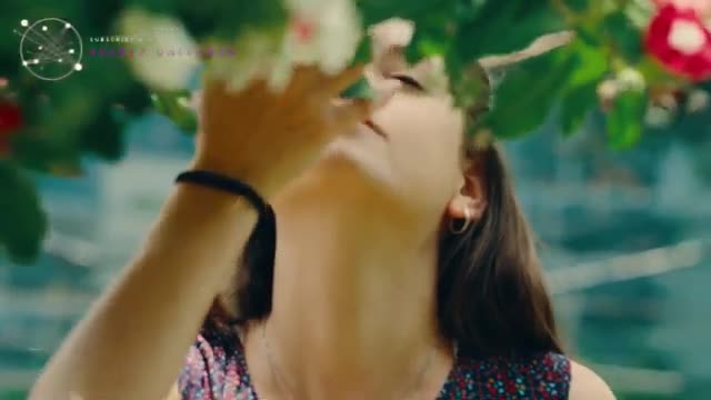 𝟑𝟑𝟑 𝐆𝐄𝐓 𝐑𝐄𝐀𝐃𝐘...