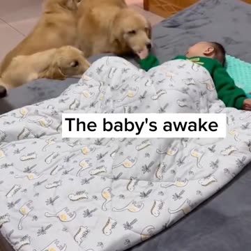 Baby with four angels