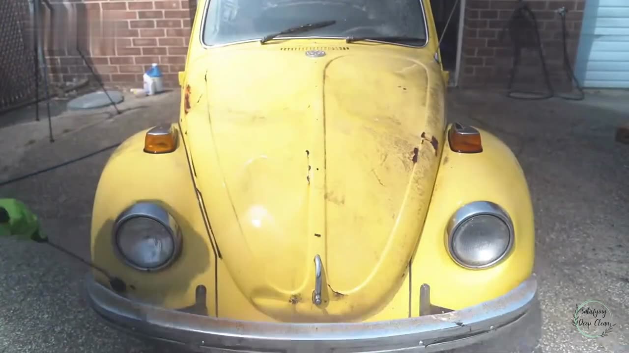 How to clean the Beetle that was abandoned in 1997?