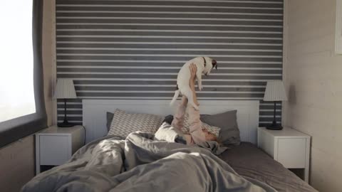 girl playing with dog lying on the bed