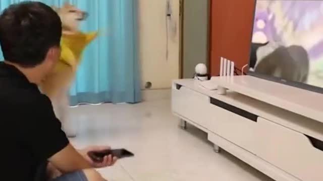 Funny Animals🐵 on Instagram- -he scares 😂😂😂 -------