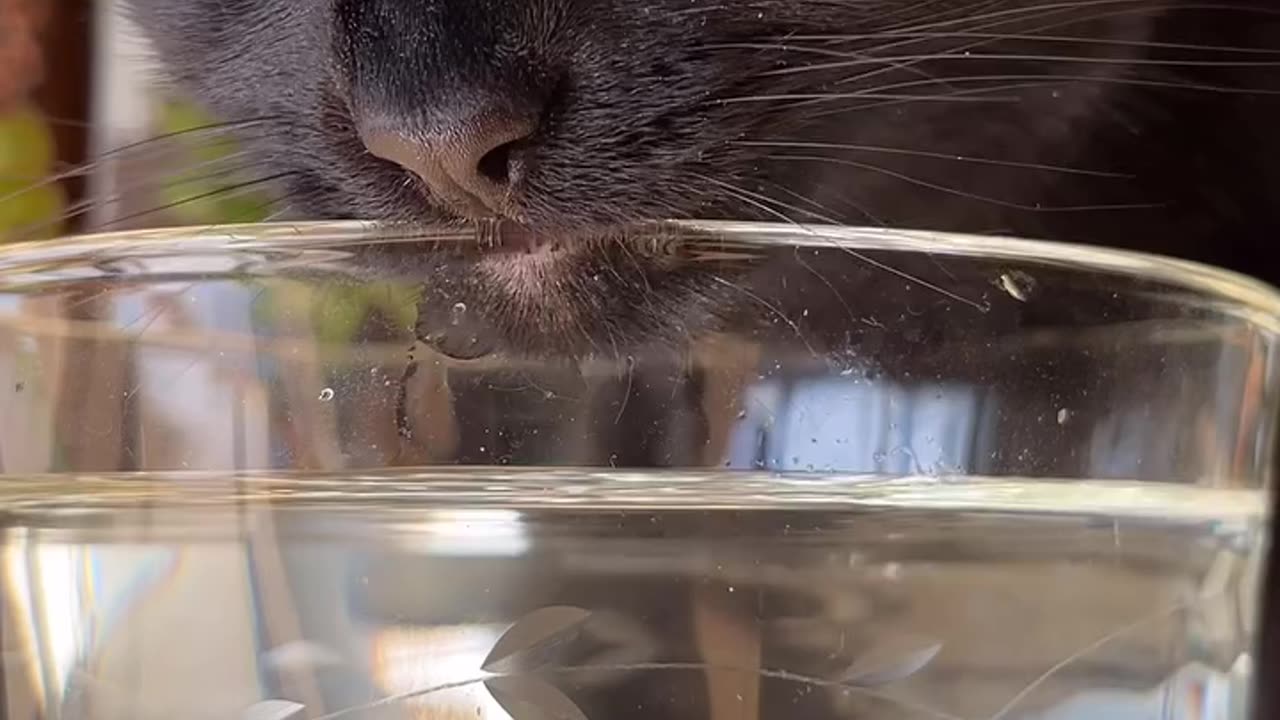 Don’t forget to hydrate, friends! 💦 Preferably from large scale crystal! ..