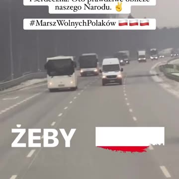 Protest Wolnych Polaków