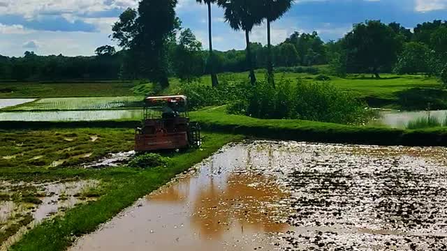 Indian Village farming session 🏞️ Indian Village Life