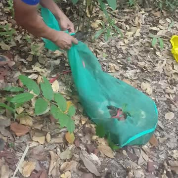 Mission Animal Rescue - rescue animals with nature 3