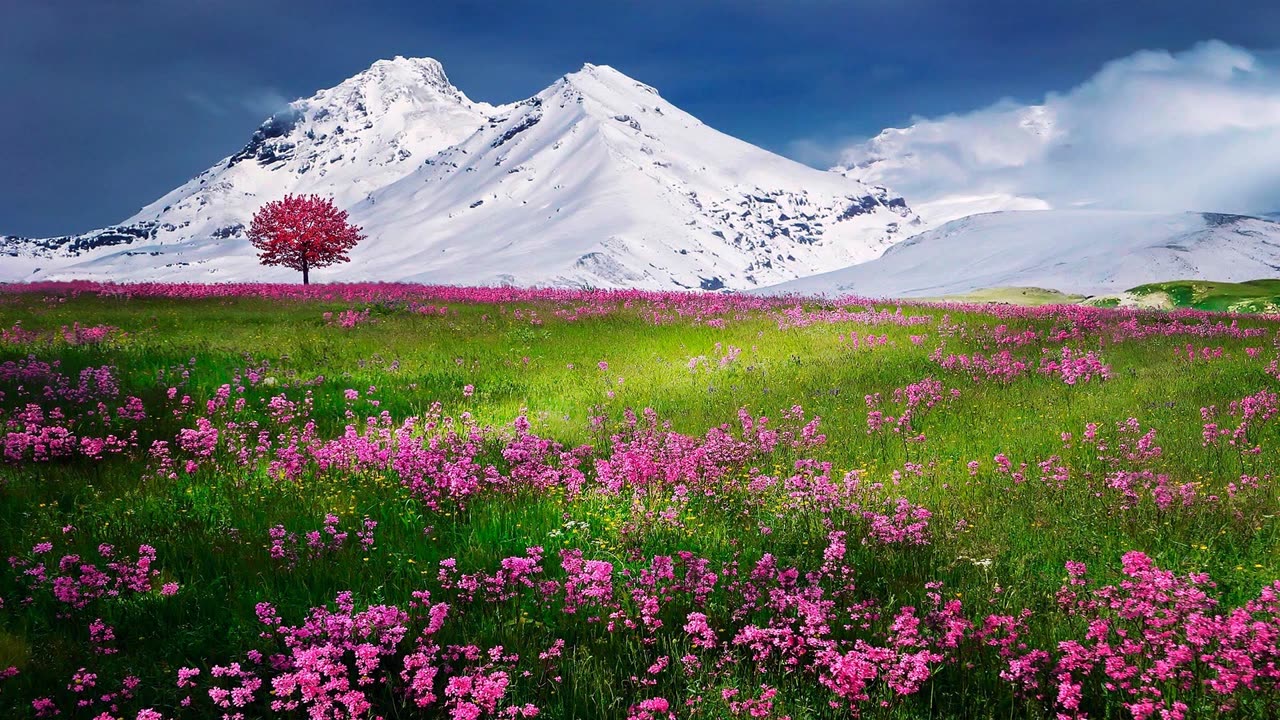 Mountain Flowers Sound.