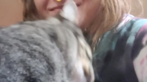 Happy Couple