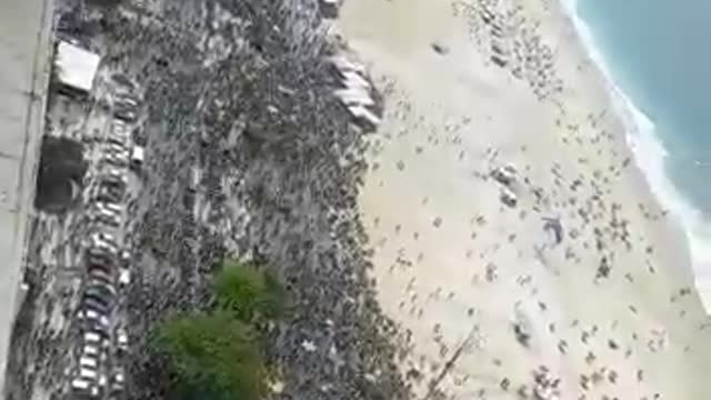 Brazil Fighting For Freedom