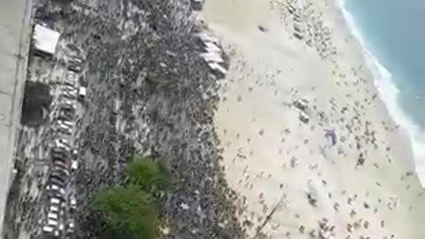 Brazil Fighting For Freedom