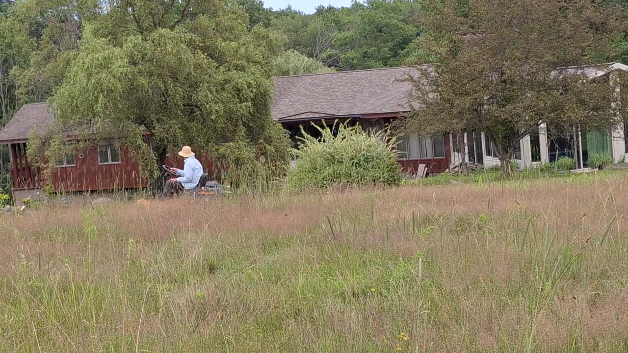 Mowing tall grass