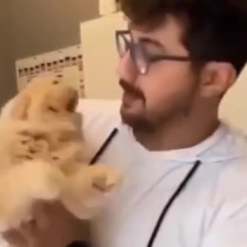 kitten who doesn't like affection