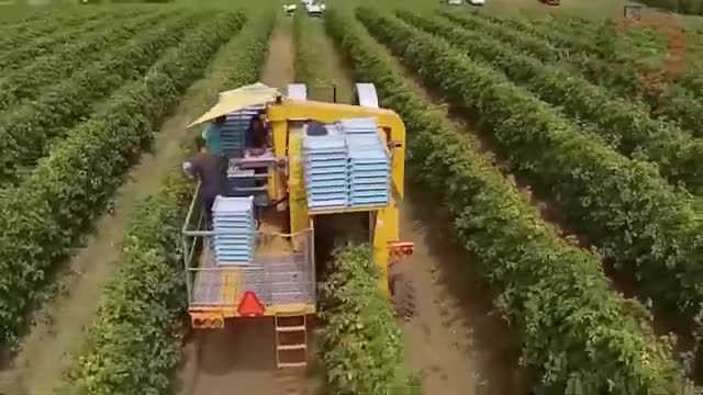 Modern agricultural machinery, incredible technology that changes the world