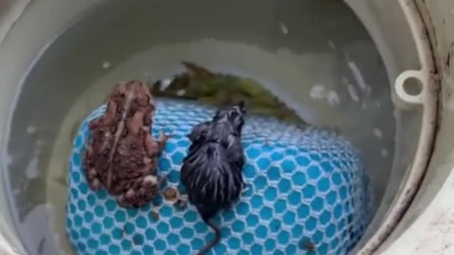 Feliz dia do amigo