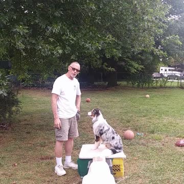 Ruff Cut PodCast: Raised Platform and Balance Beam part 1 section 1