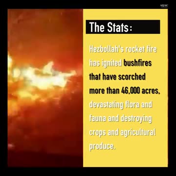 Hezbollah's War on Israel since October 8 - The stats you need to know