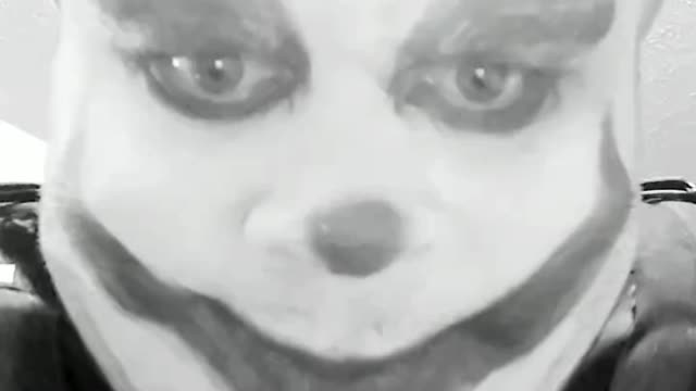 Your soul