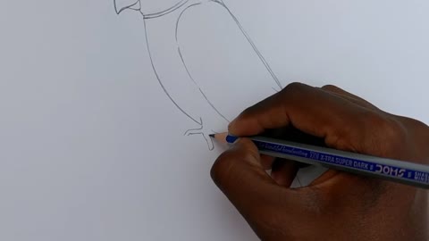 how to draw parrot easy step by step--Gali Gali Art --p4