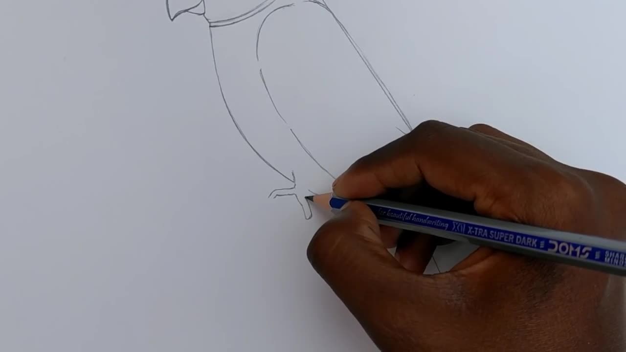 how to draw parrot easy step by step--Gali Gali Art --p4