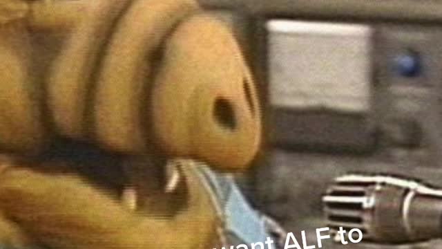 Did you love ALF?