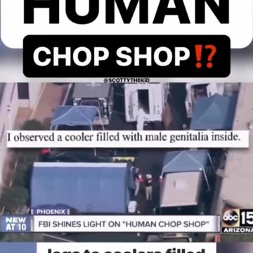 Human Chop Shop