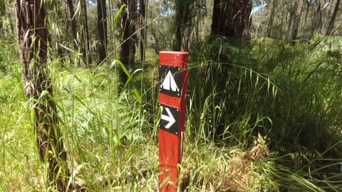 Grimwade shelter on the Bibbulmun Track