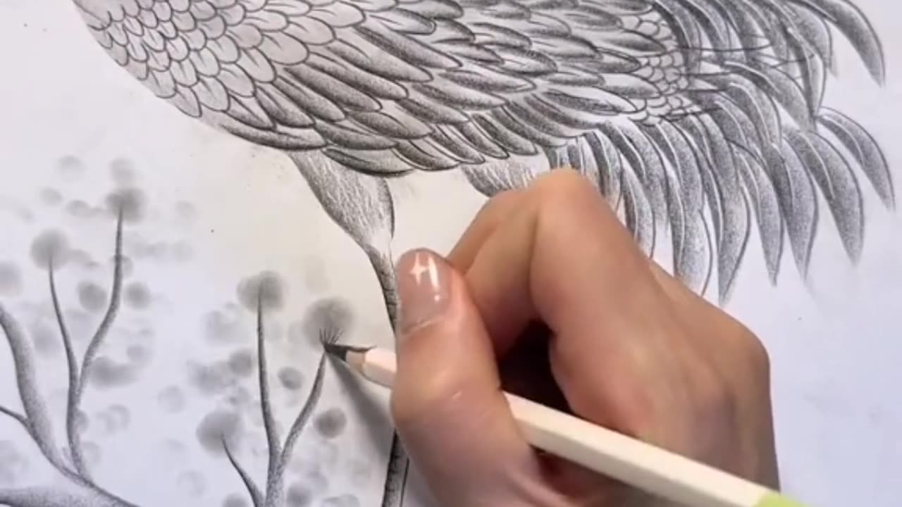 Amazing drawing shorts