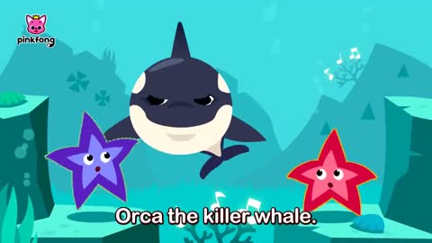 Song of the Whales | Animal Songs | Learn Animals | Pinkfong Animal Songs for Children