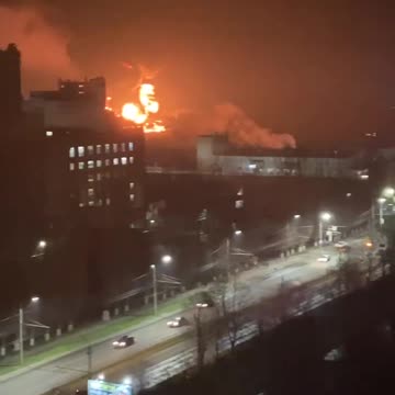 Fires in the Bryansk region