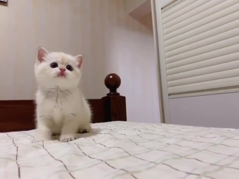 Very cute