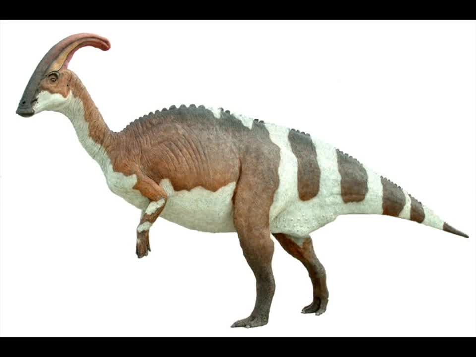 Sound Effects - Parasaurolophini calls