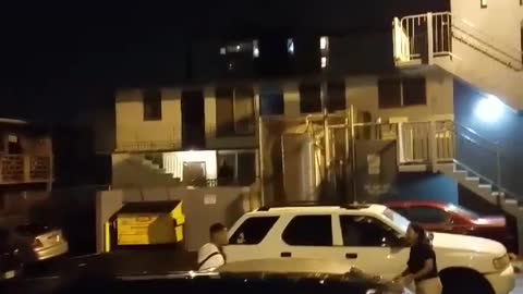 Cars Damaged with Baseball Bat