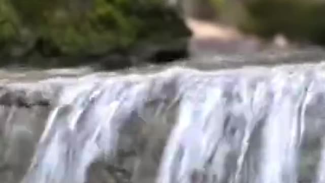 The sound of the forest, the sound of water trickling, and the chirping of birds, a short video