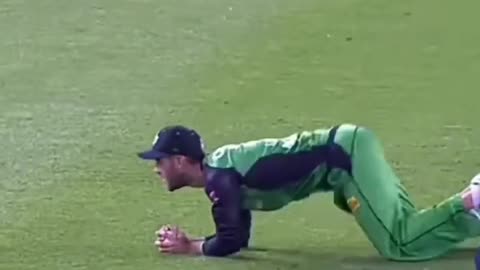 What A Catch BY FIELDER 🤭SHOCK🤔 Cricket Videos