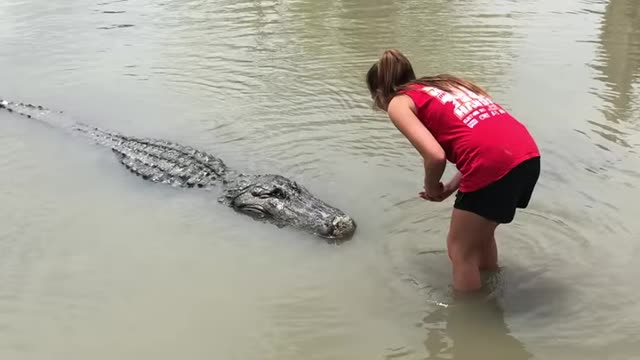 Brave girl approaches a gator in Beaumont