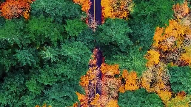 Aerial Footage of a Road