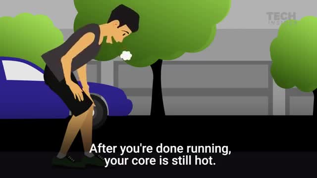 Terrible things that happen when you run too much