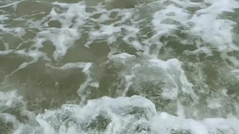 Curtindo uma tarde na praia de Quatro Ilhas, Bombinhas - SC | Som Ambiente