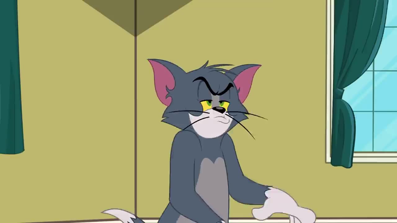 The Tom and Jerry Show | Tom The Gym Cat | Boomerang