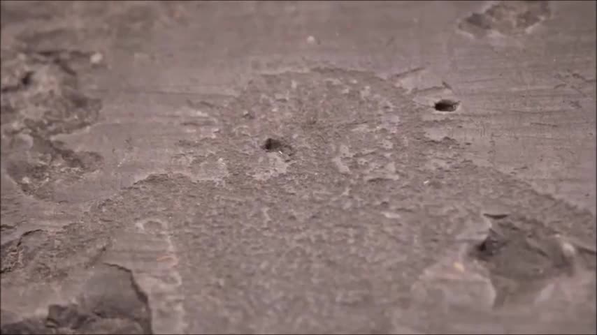 BELIEVE it or NOT a KARISTUS cloaked SHIP