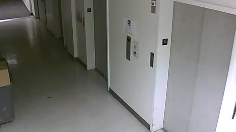 3904PSQB06FreightLobbyRear_2021-01-05_19h40min01s863ms.mp4