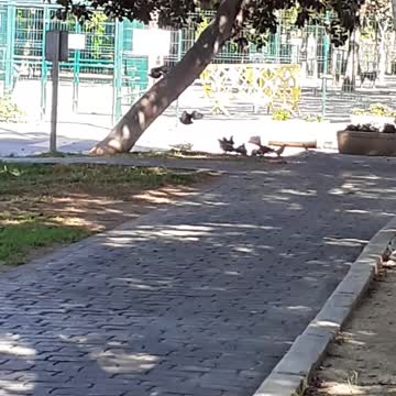 حمام حر طليق