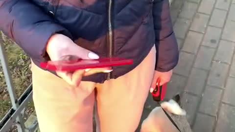 Giving iPhone to HOT GIRL