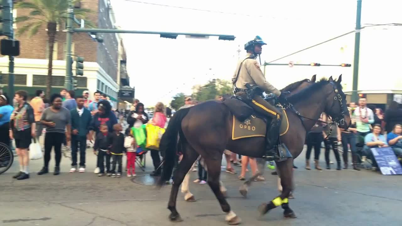 Police on Horseback Patrol a Mardi Gras Parade Route