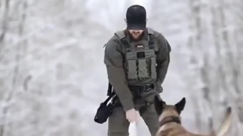 Army dog training video