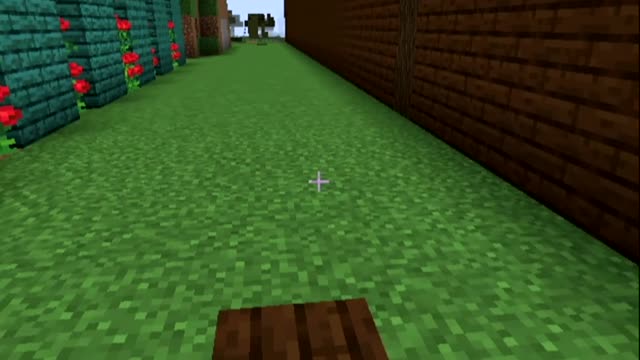 Minecraft Horse Speed and Jump Checks