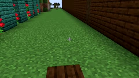 Minecraft Horse Speed and Jump Checks